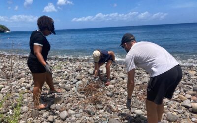 ACTION DE TERRAIN – Collecte, tri et analyse des macro déchets de la plage de Fond Boucher
