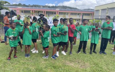 ACTION DE TERRAIN – Plantation de 200 Cacaoyers avec des jeunes de Martinique