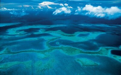 La Nouvelle-Calédonie créée 100 000km2 de réserves marines